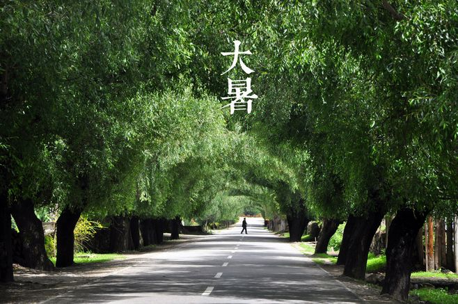 大暑丨葡園消煩暑，夢涼天地寬