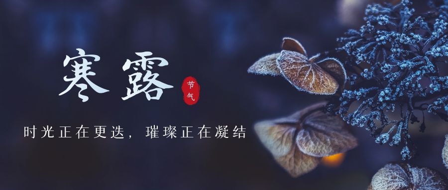 寒露 ▎時光更迭，璀璨正在凝結(jié)~
