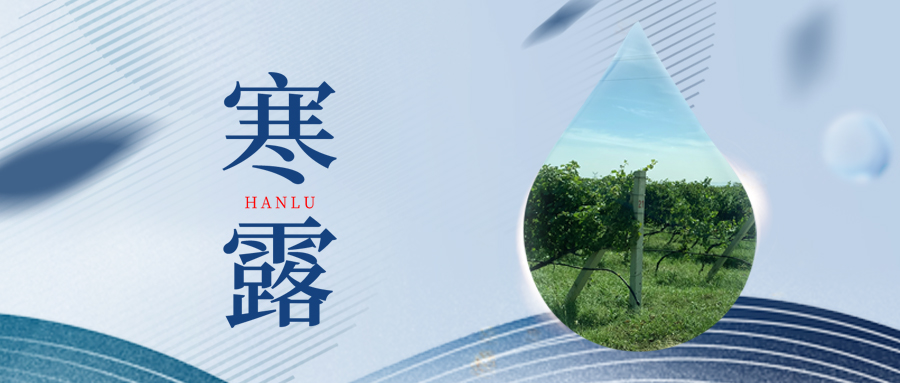 寒露丨夜露凝寒，萬(wàn)物皆秋