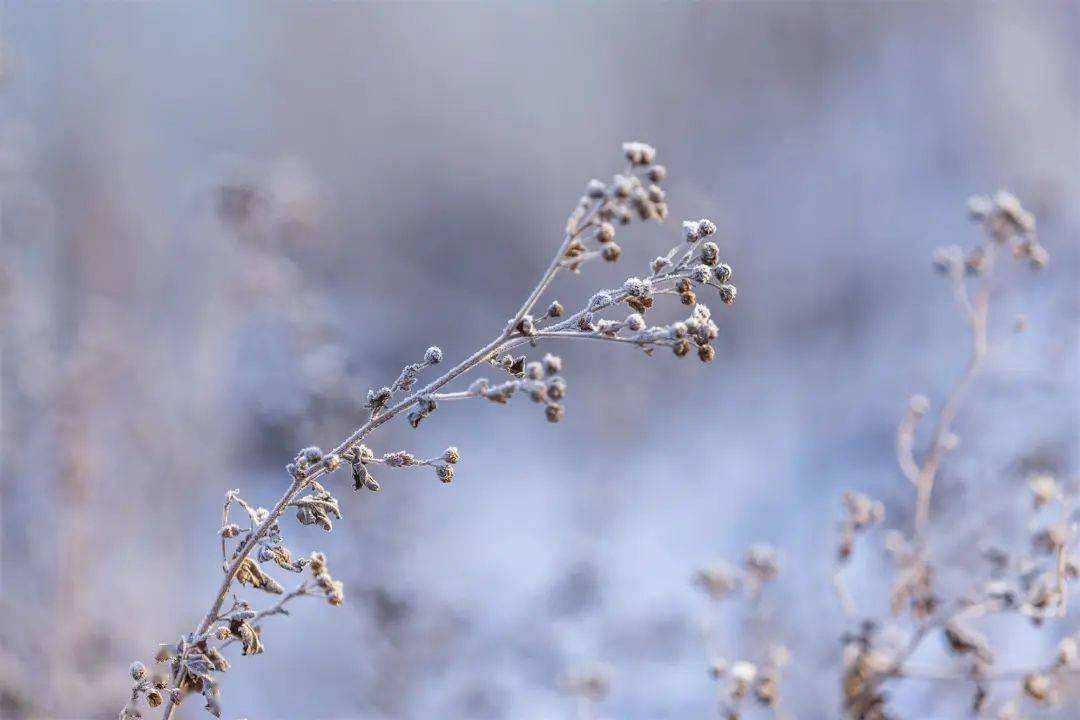 小雪 ▎冬藏萬(wàn)物，歲月沉香